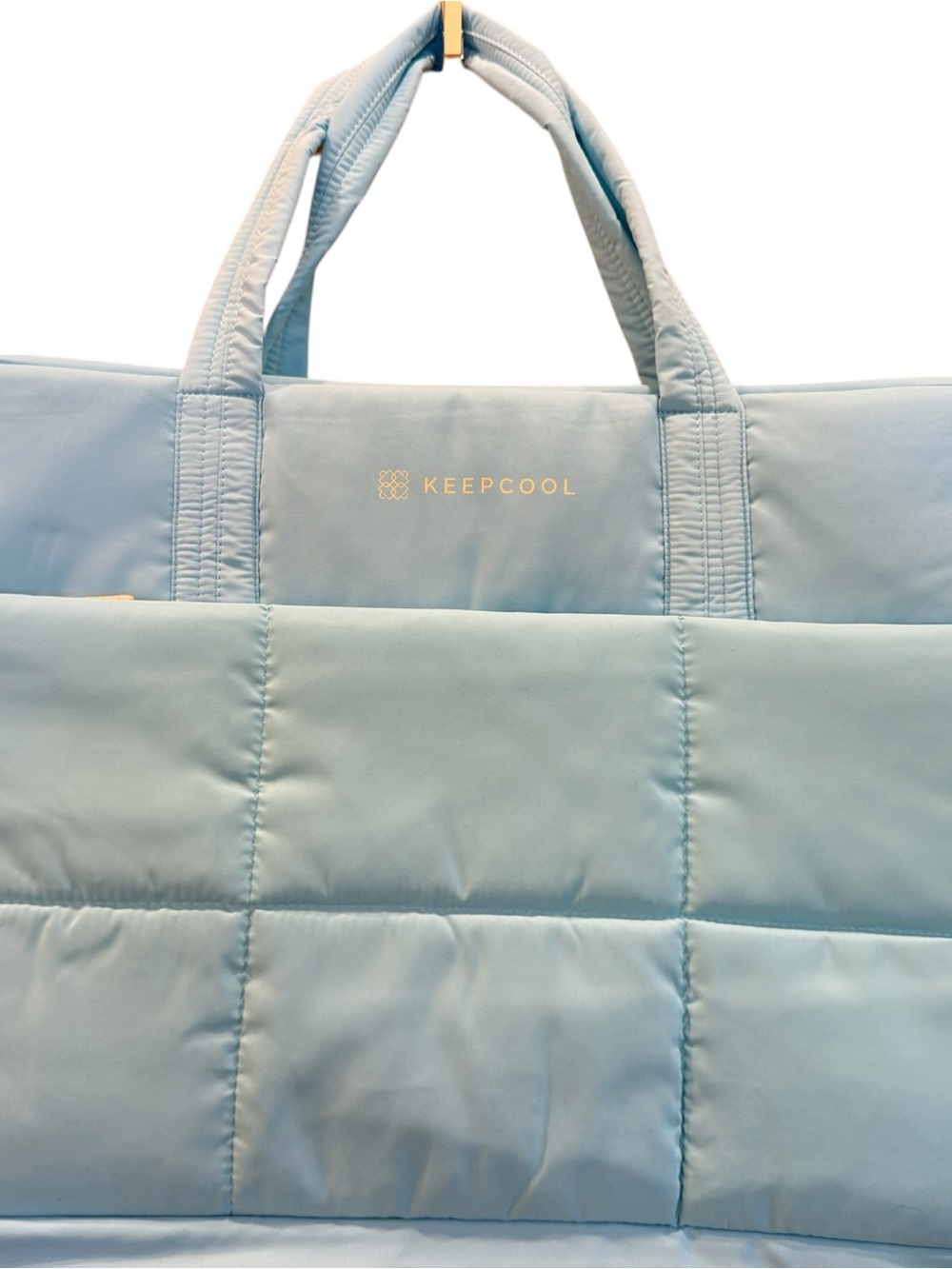 Light Blue Keep Cool extra large insulated shopping tote Bag